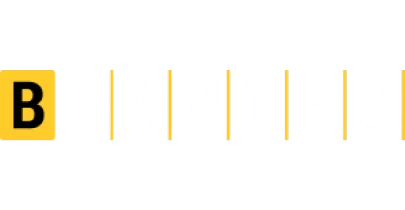 partners who work with BlueChip